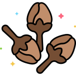 লবঙ্গ