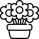 ফুলের চারা