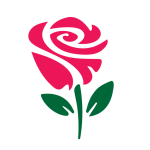 গোলাপ