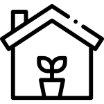 ইনডোর প্ল্যান্ট