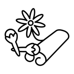 মসলা গাছ