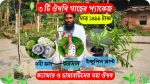 কম্বো অফার ( ইনসুলিন প্লান্ট + করোসল প্লান্ট + ননি ফল গাছ)