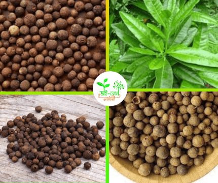 অল স্পাইস / All Spices