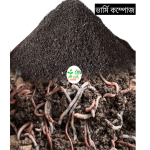 ভার্মি কম্পোস্ট সার /Vermicompost - Image 2